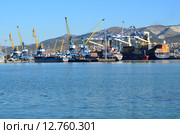 Новороссийский морской торговый порт. Стоковое фото, фотограф Наталья Горкина / Фотобанк Лори