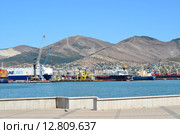 Набережная в городе Новороссийске и Новороссийский морской торговый порт (2015 год). Стоковое фото, фотограф Наталья Горкина / Фотобанк Лори