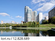 Москва. Пруд на реке Самородинка, Тропаревский парк (2015 год). Редакционное фото, фотограф Илюхина Наталья / Фотобанк Лори