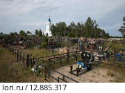 Преображенский храм села Андреевские Выселки, Шатурского района Подмосковья (2015 год). Редакционное фото, фотограф Дмитрий Неумоин / Фотобанк Лори