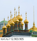Купола теремных церквей. Московский кремль (2015 год). Стоковое фото, фотограф Александр Щепин / Фотобанк Лори