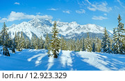 Winter mountain fir forest landscape ( Austria)) Стоковое фото, фотограф Юрий Брыкайло / Фотобанк Лори