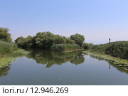 Развилка реки Ораховштица, Черногория (2015 год). Стоковое фото, фотограф Алексей Гусев / Фотобанк Лори