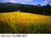 mountains with farmland. Asturia. Стоковое фото, фотограф Яков Филимонов / Фотобанк Лори