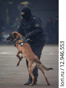 Interpolitex-2015. Демонстрационный показ бойцов спецназа ФСКН. Редакционное фото, фотограф Julia Shepeleva / Фотобанк Лори
