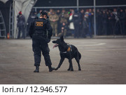 Interpolitex-2015. Демонстрационный показ бойцов спецназа ФСКН. Редакционное фото, фотограф Julia Shepeleva / Фотобанк Лори