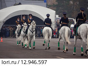Interpolitex-2015. Конная полиция. Редакционное фото, фотограф Julia Shepeleva / Фотобанк Лори