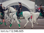 Interpolitex-2015. Конная полиция. Редакционное фото, фотограф Julia Shepeleva / Фотобанк Лори