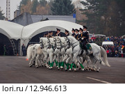 Interpolitex-2015. Конная полиция. Редакционное фото, фотограф Julia Shepeleva / Фотобанк Лори