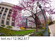 Вид на церковь Иисуса Христа  в Солт-Лейк-Сити, США (2015 год). Стоковое фото, фотограф Сергей Новиков / Фотобанк Лори