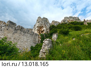 The ruins of Spis Castle (or Spissky hrad). Slovakia. Стоковое фото, фотограф Юрий Брыкайло / Фотобанк Лори