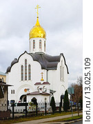 Город Балашиха. Церковь Александра Невского (2015 год). Стоковое фото, фотограф Зобков Юрий / Фотобанк Лори