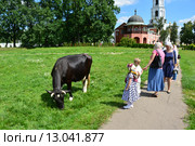 Корова на территории Николо-Угрешского монастыря (2015 год). Редакционное фото, фотограф lana1501 / Фотобанк Лори