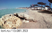 Окаменелые кораллы на песчаном пляже Красного моря. Курорт Хургада. Египет (2015 год). Стоковое видео, видеограф Кекяляйнен Андрей / Фотобанк Лори