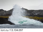 Waves breaking on the coast, Skeena-Queen Charlotte Regional District, Haida Gwaii, Graham Island, British Columbia, Canada. Стоковое фото, фотограф Keith Levit / Ingram Publishing / Фотобанк Лори