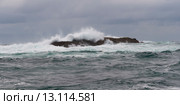 Waves breaking on an island, Skeena-Queen Charlotte Regional District, Haida Gwaii, Graham Island, British Columbia, Canada. Стоковое фото, фотограф Keith Levit / Ingram Publishing / Фотобанк Лори