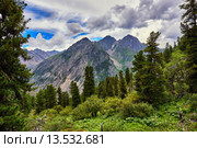 Темнохвойная горная тайга. Тункинские гольцы. Стоковое фото, фотограф Виктор Никитин / Фотобанк Лори