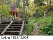 Марьевский родник в деревне Марьевка (Арзамасский район Нижегородской области) (2015 год). Стоковое фото, фотограф Аркадий Рыпин / Фотобанк Лори