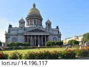 Исаакиевский собор на фоне красных роз на площади ярким солнечным днём под голубым небом и гуляющие люди (2015 год). Стоковое фото, фотограф Максим Мицун / Фотобанк Лори