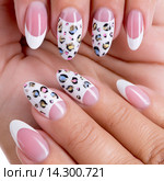 Beautiful woman's nails with french manicure. Стоковое фото, фотограф Валуа Виталий / Фотобанк Лори