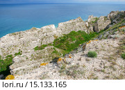 Побережье Джангуля. Тарханкут. Крым (2009 год). Стоковое фото, фотограф Николай Голицынский / Фотобанк Лори
