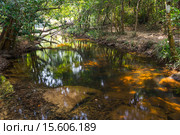 Brook at Kbal Spean. Ангкор-Ват, Камбоджа (2015 год). Стоковое фото, фотограф Юлия Белоусова / Фотобанк Лори