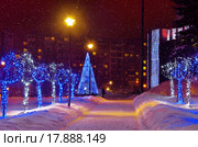 Деревья с подсветкой. Новогоднее оформление улицы. Ижевск (2015 год). Редакционное фото, фотограф Agnes Chvankova / Фотобанк Лори