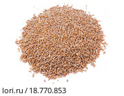 Крупа полба, или спельта  (Triticum spelta) на белом фоне. Стоковое фото, фотограф Алёшина Оксана / Фотобанк Лори
