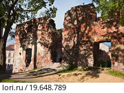 Руины доминиканского монастыря. Выборг (2015 год). Стоковое фото, фотограф Victoria Demidova / Фотобанк Лори