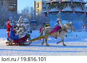 По Новогодней площади на белом коне в розвальнях (2016 год). Редакционное фото, фотограф Анатолий Матвейчук / Фотобанк Лори