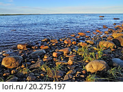 Берег Белого моря летним вечером. Карелия, Россия. Стоковое фото, фотограф Сергей Трофименко / Фотобанк Лори