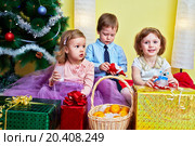 Three children sit in room under christmas tree with gift boxes and wicker basket full of tangreins. Стоковое фото, фотограф Losevsky Pavel / Фотобанк Лори