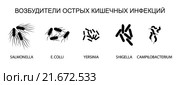 Возбудители острых кишечных инфекций. Стоковая иллюстрация, иллюстратор Кабанова Виктория / Фотобанк Лори