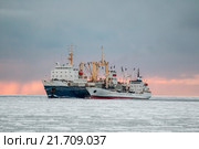 Перегруз мороженой рыбы на рефрижераторное судно в Охотском море. Стоковое фото, фотограф Василий Князев / Фотобанк Лори