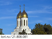 Золотые купола храма Христа Спасителя. Калининград, Россия (2014 год). Стоковое фото, фотограф Сергей Трофименко / Фотобанк Лори