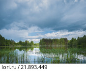 Рукотворное озеро в деревне Колядуха Псковской области. Стоковое фото, фотограф Абрамова Ксения / Фотобанк Лори