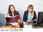 Две деловые девушки работают в офисе за одним рабочим столом. Стоковое фото, фотограф Иванов Алексей / Фотобанк Лори