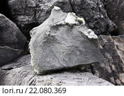 Серый известняк с желваками кварца. Стоковое фото, фотограф Александр Алексеевич Миронов / Фотобанк Лори