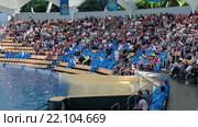 Шоу касаток (Orca show). Зрители в голубых плащах сидят в зоне досягаемости брызг. Зоопарк Лоро (Loro Park). Пуэрто де ла Круз (Puerto de la Cruz), Тенерифе, Канарские острова, Испания (2016 год). Редакционное видео, видеограф Кекяляйнен Андрей / Фотобанк Лори