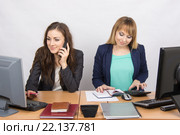 Офисные коллеги девушки сидят за рабочим столом, одна с телефоном, другая с калькулятором. Стоковое фото, фотограф Иванов Алексей / Фотобанк Лори