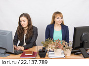Две офисные сотрудницы, у одной из которых рабочее место заставлено комнатными растениями. Стоковое фото, фотограф Иванов Алексей / Фотобанк Лори