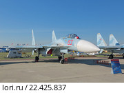 Международный авиационно-космический салон МАКС-2015. Су-27 СМ3 (по кодификации НАТО: Flanker) -  советский/российский многоцелевой всепогодный истребитель четвертого поколения. Редакционное фото, фотограф Игорь Долгов / Фотобанк Лори