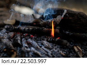 Сгоревшие головешки, язык пламени и дым костра. Стоковое фото, фотограф Яна Королёва / Фотобанк Лори