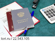 Трудовая книжка, паспорт российского гражданина и диплом. Оформление кадровых документов. Стоковое фото, фотограф Наталья Осипова / Фотобанк Лори