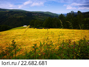 mountains with farmland. Asturia. Стоковое фото, фотограф Яков Филимонов / Фотобанк Лори
