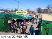 Городская ярмарка. Город Луга (2016 год). Редакционное фото, фотограф Александр Щепин / Фотобанк Лори