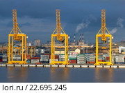 Санкт-Петербург. Морской порт. Дамба Гребёнка. Краны в контейнерном терминале (2016 год). Редакционное фото, фотограф Александр Тарасенков / Фотобанк Лори
