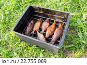 Appetizing smoked fish in smokehouse at the outdoors. Стоковое фото, фотограф FotograFF / Фотобанк Лори