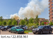 Лесной пожар в Подмосковье. Островцы, Раменский район (2016 год). Редакционное фото, фотограф Владимир Сергеев / Фотобанк Лори