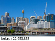 Darling Harbour рядом с центром Сиднея (2016 год). Редакционное фото, фотограф Александр Трофимов / Фотобанк Лори